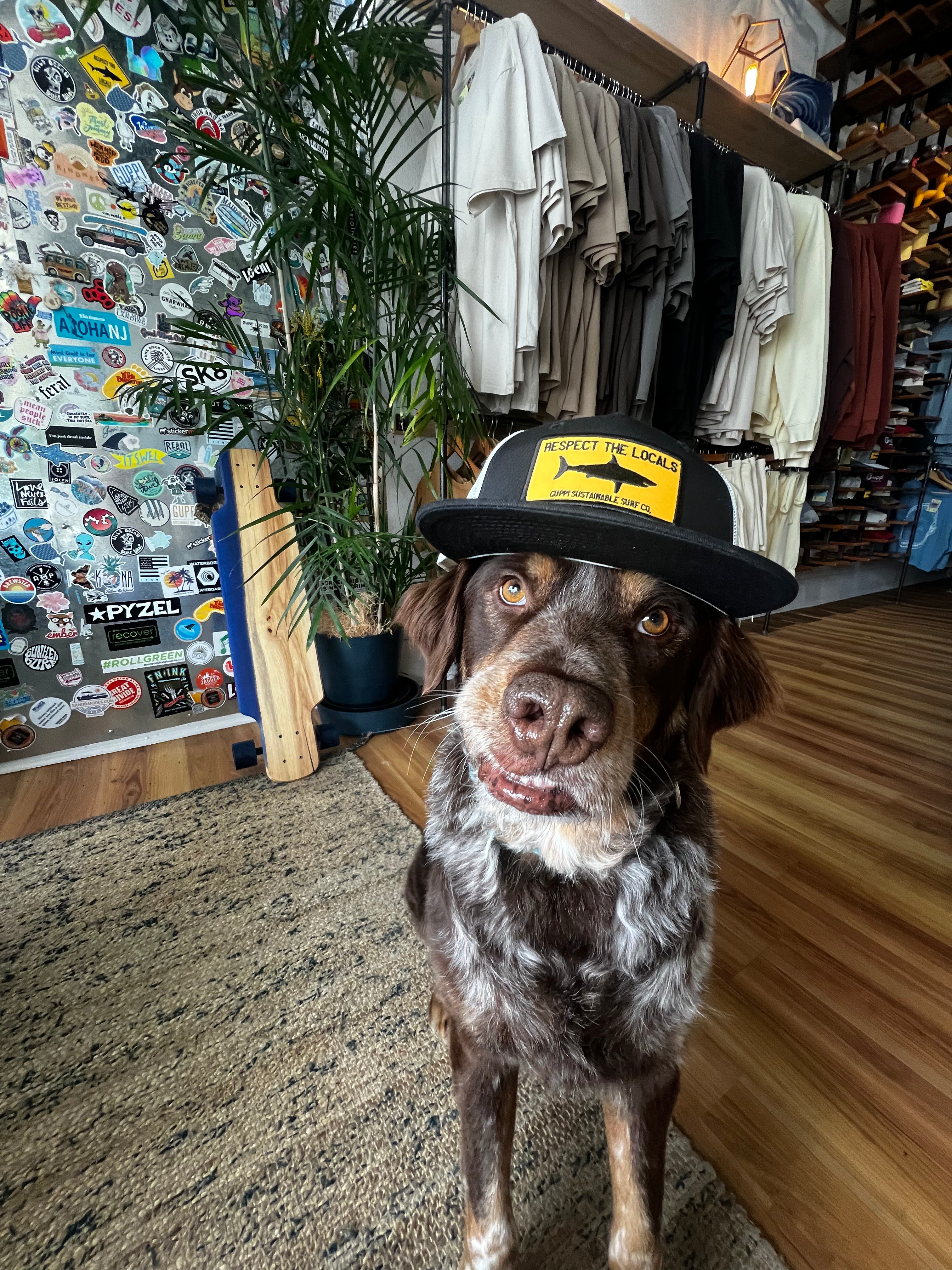 Respect the Locals Trucker