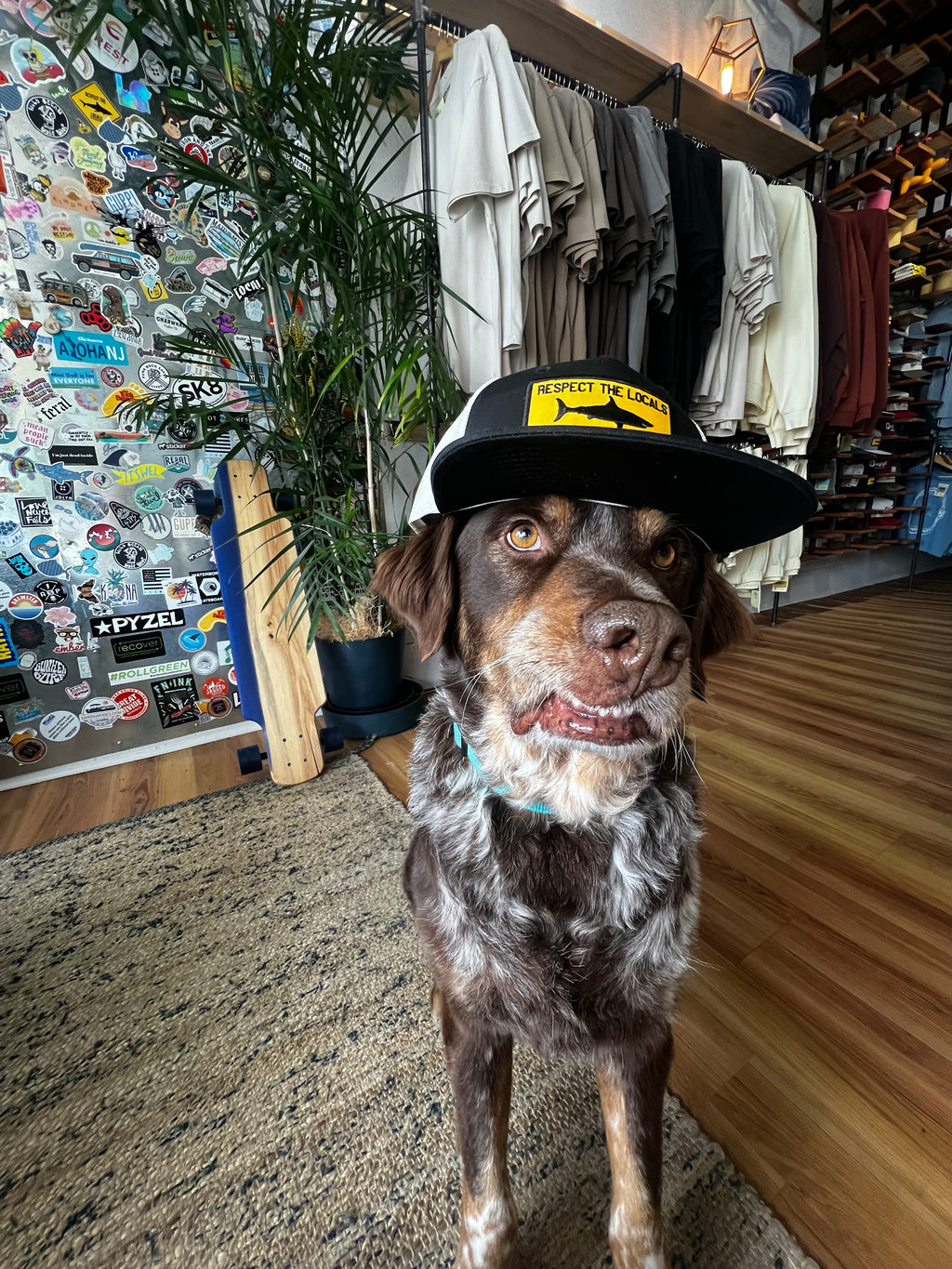 Respect the Locals Trucker