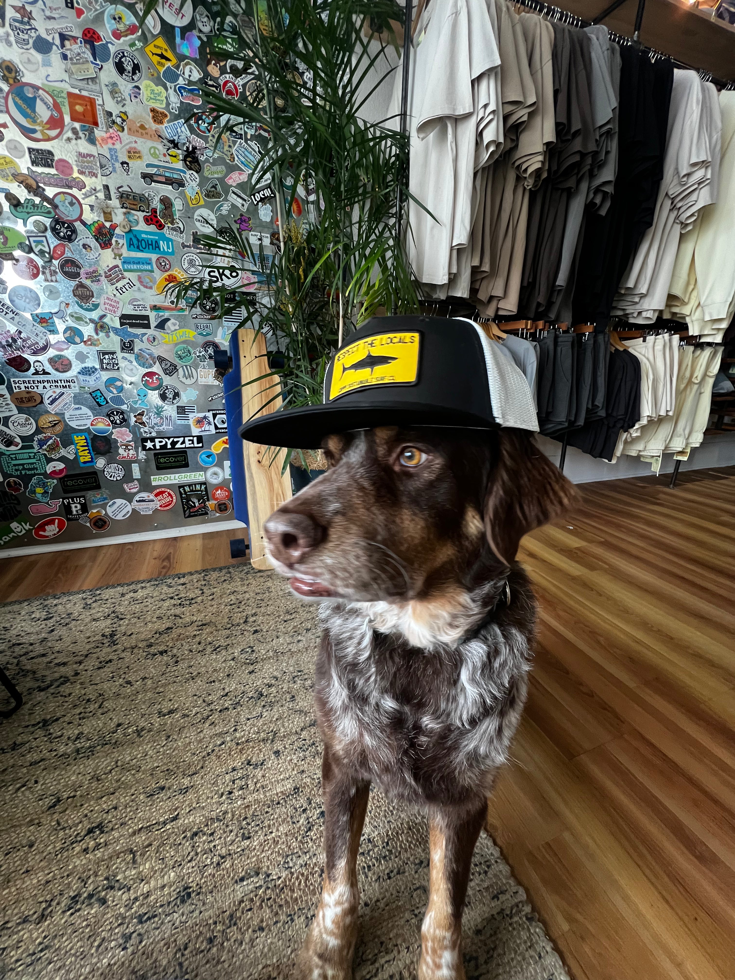 Respect the Locals Trucker