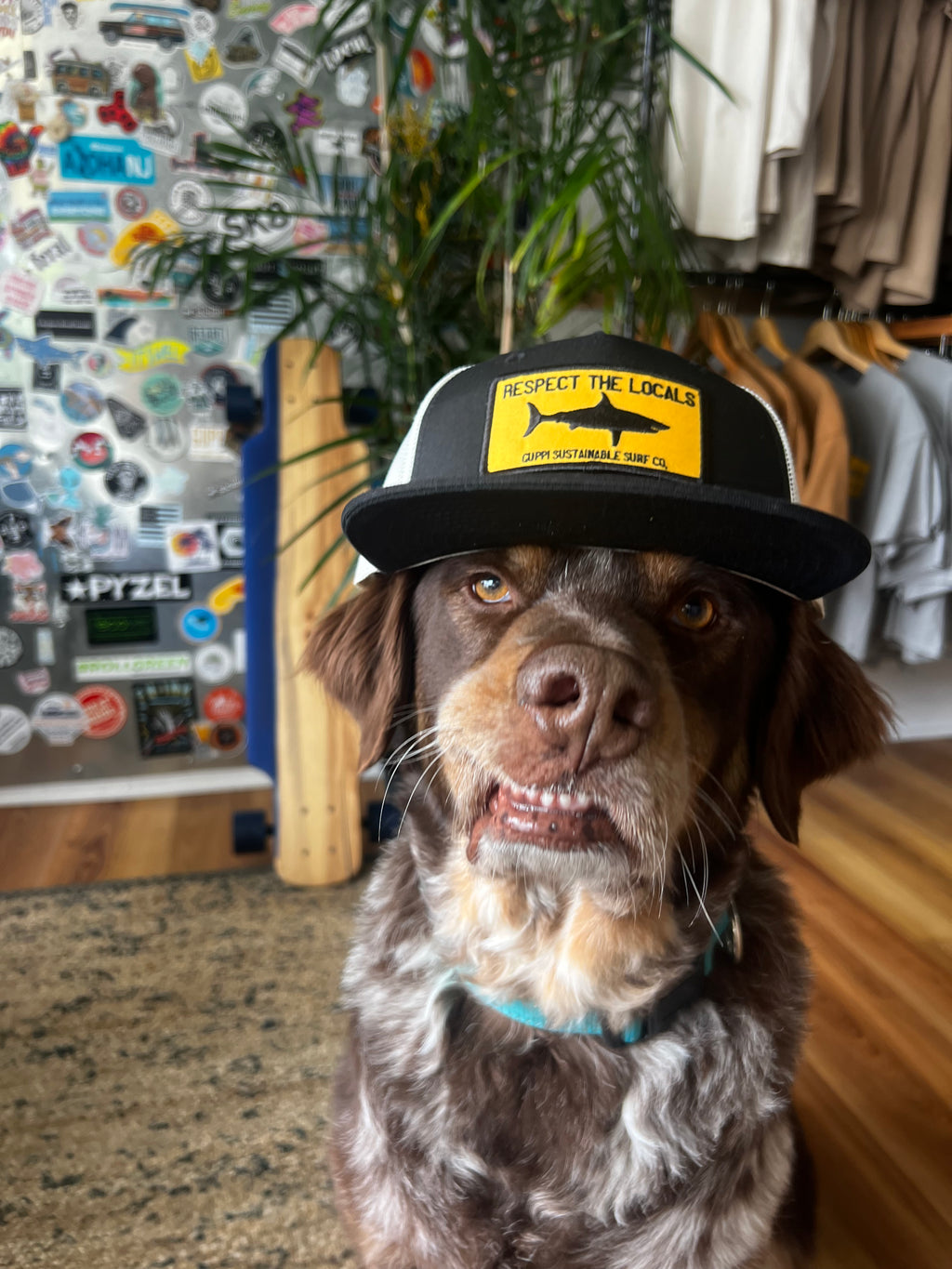 Respect the Locals Trucker
