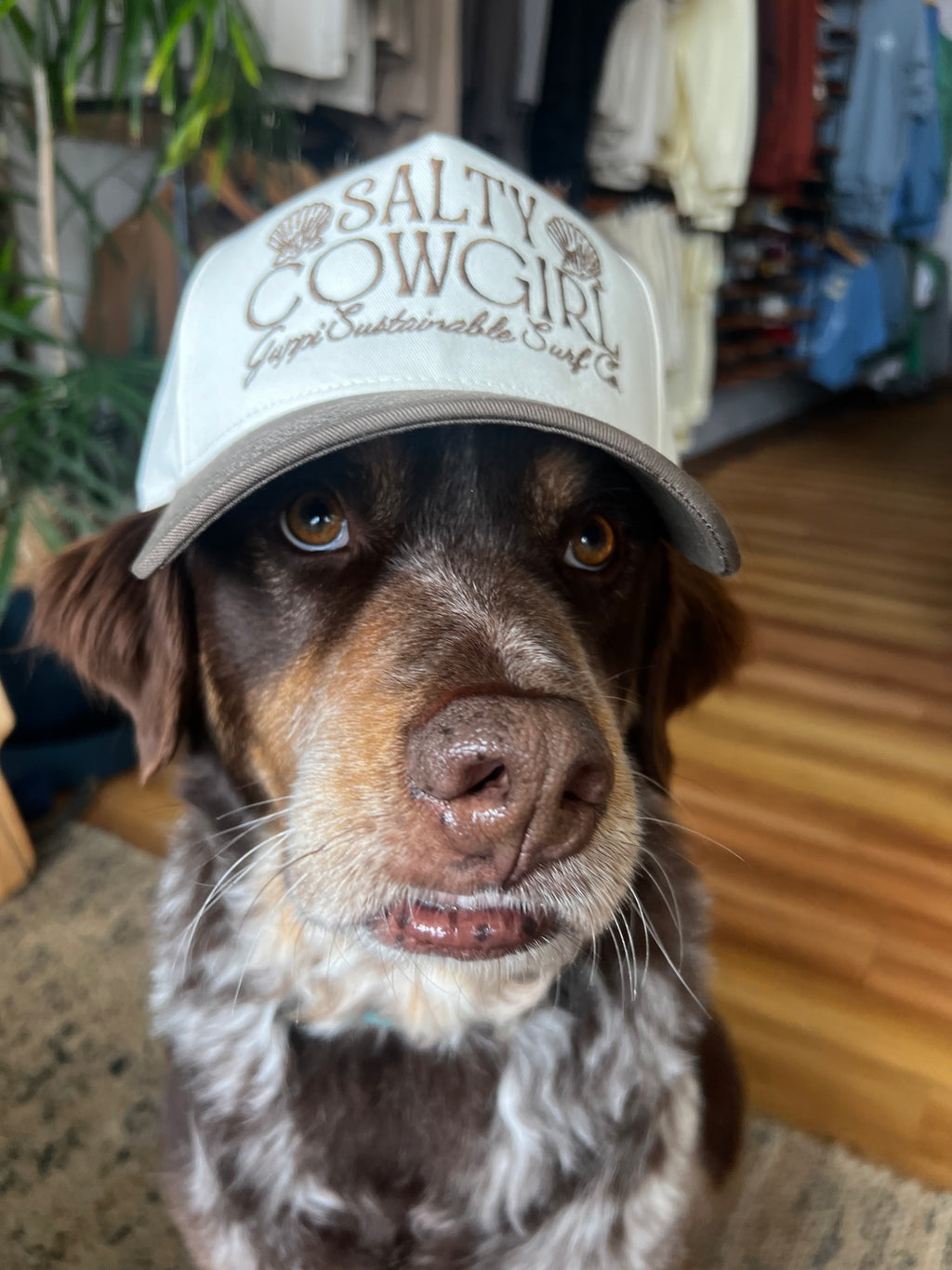 Salty Cowgirl Two Tone Hat